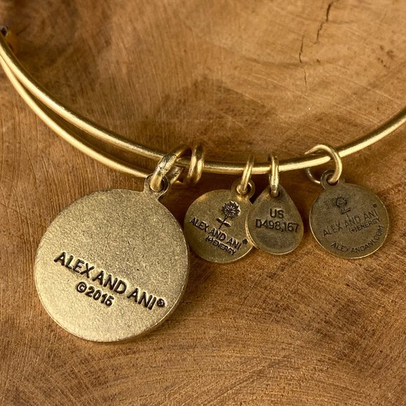 ALEX & ANI Friend Bracelet Energy Charm Bangle Set, Rafaelian Gold and Silver - Picture 7 of 9